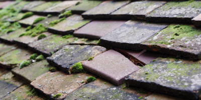 Cardigan roof repair costs